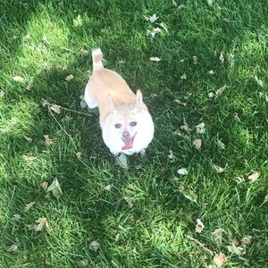 Meet your Posher, Sara